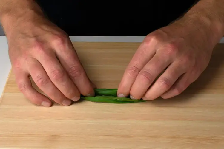 Hands rolling stacked basil leaves tightly into a cylinder in preparation for chiffonade slicing.