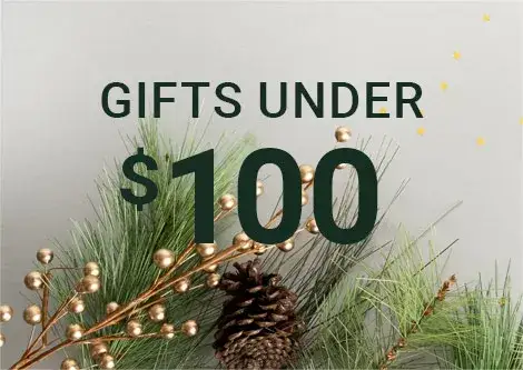 Gifts Under $100