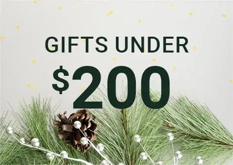 Gifts Under $200