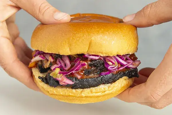 BBQ Brisket Sandwich with Spicy Slaw